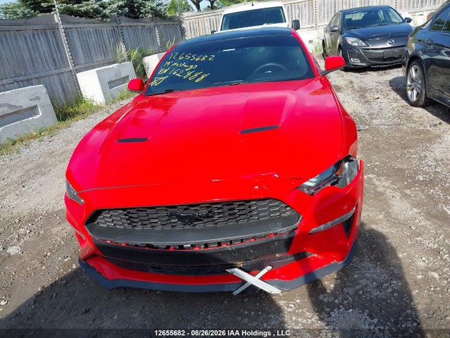 Ford Mustang Ecoboost 2019 1FA6P8TH0K5162888 Image 11