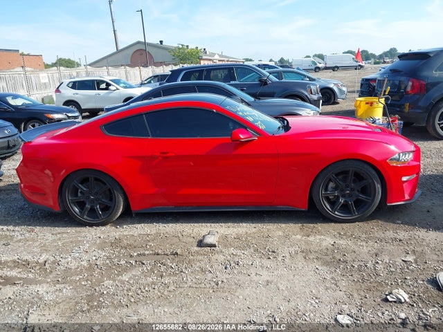 Ford Mustang Ecoboost 2019 1FA6P8TH0K5162888 Image 12