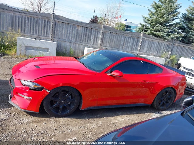 Ford Mustang Ecoboost 2019 1FA6P8TH0K5162888 Image 13