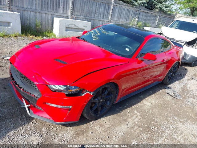 Ford Mustang Ecoboost 2019 1FA6P8TH0K5162888 Image 2