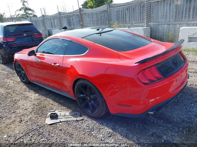 Ford Mustang Ecoboost 2019 1FA6P8TH0K5162888 Image 3
