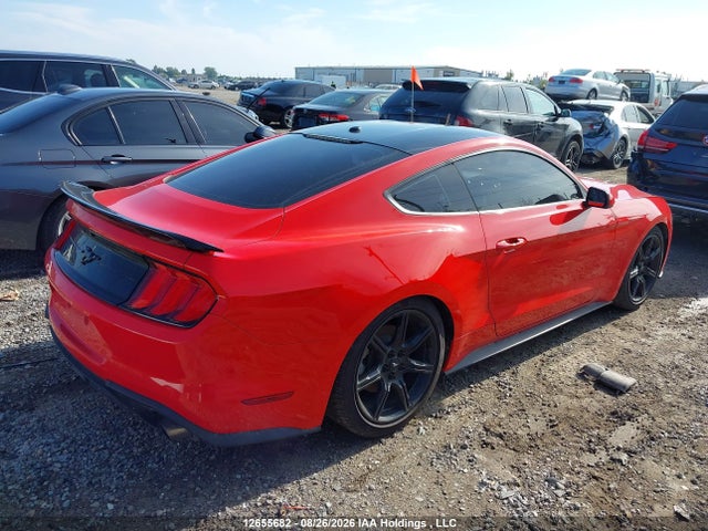 Ford Mustang Ecoboost 2019 1FA6P8TH0K5162888 Image 4