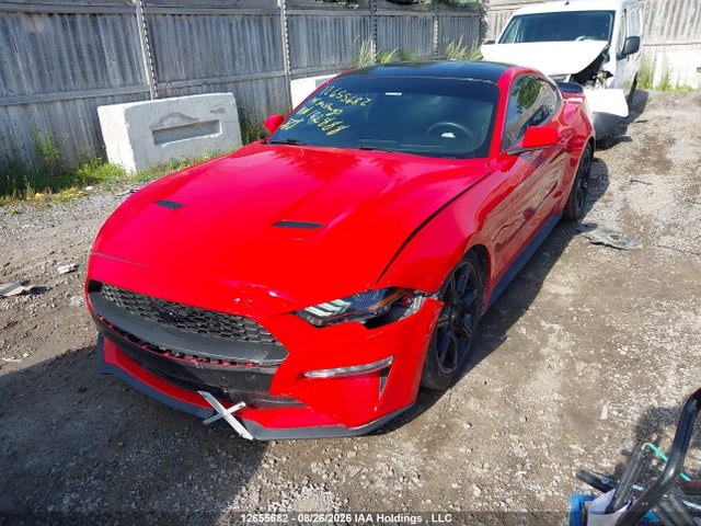 Ford Mustang Ecoboost 2019 1FA6P8TH0K5162888 Image 6