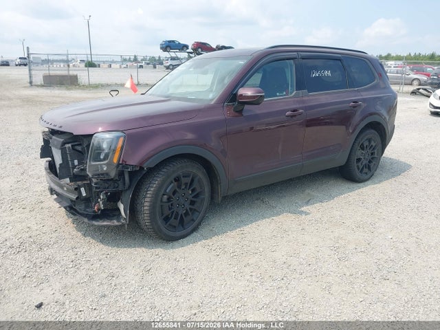 KIA Telluride Sx 2021 5XYP5DHC4MG111334 Image 2