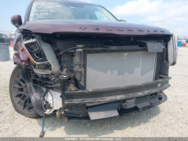 KIA Telluride Sx 2021 5XYP5DHC4MG111334 Image 6