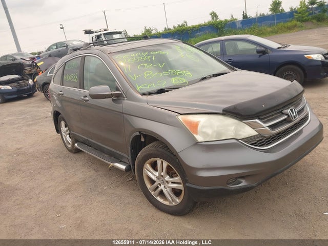 2011 Honda Cr-v Ex-l მანქანა იყიდება აუქციონზე, vin: 5J6RE4H70BL800388, აუქციონის ნომერი: 12655911