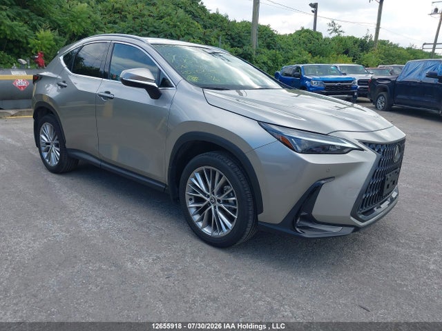 Lexus Nx 350h 350h 2025 2T2GKCEZ2SC044068 main image