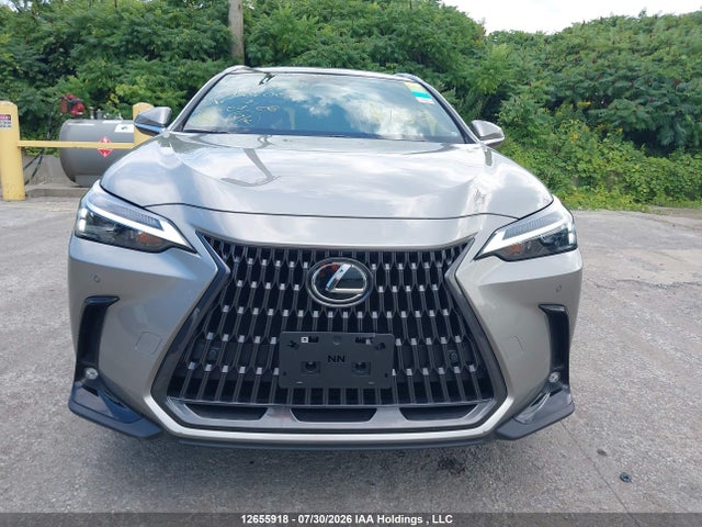 Lexus Nx 350h 350h 2025 2T2GKCEZ2SC044068 Image 13