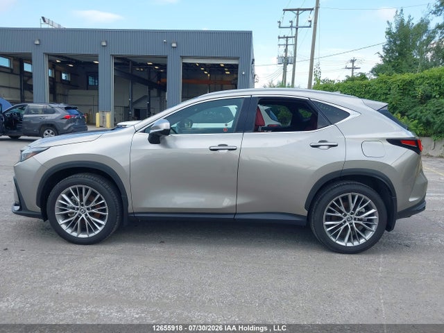 Lexus Nx 350h 350h 2025 2T2GKCEZ2SC044068 Image 15