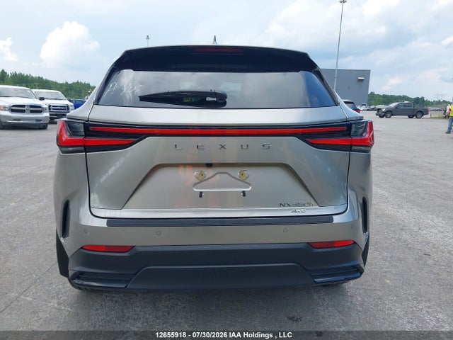 Lexus Nx 350h 350h 2025 2T2GKCEZ2SC044068 Image 17