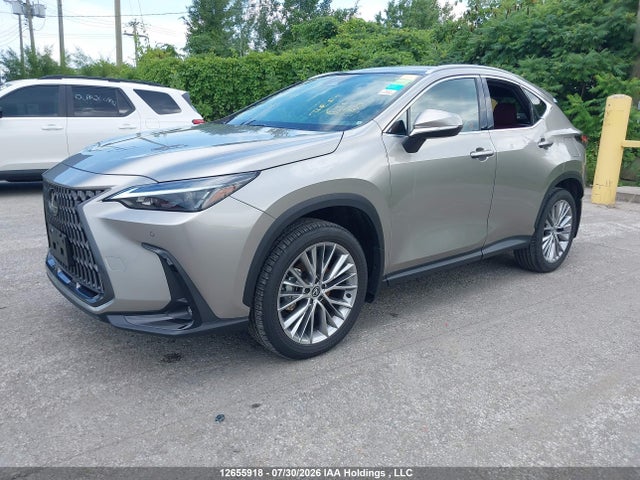 Lexus Nx 350h 350h 2025 2T2GKCEZ2SC044068 Image 2