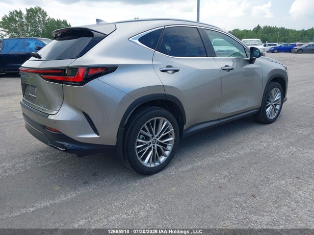 Lexus Nx 350h 350h 2025 2T2GKCEZ2SC044068 Image 4