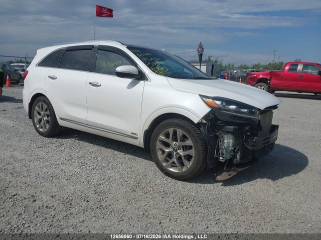 Auction sale of the 2019 Kia Sorento 3.3l Sx/3.3l Sxl, vin: 5XYPKDA56KG530318, lot number: 12656060