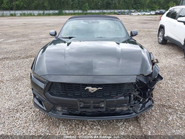 Ford Mustang 2025 1FAGP8UH2S5121276 Image 12