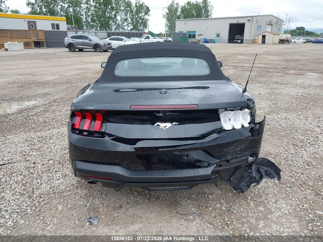 Ford Mustang 2025 1FAGP8UH2S5121276 Image 16