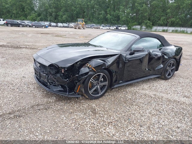 Ford Mustang 2025 1FAGP8UH2S5121276 Image 2