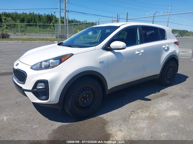 Продажа на аукционе авто 2020 Kia Sportage Lx, vin: KNDPMCAC2L7696224, номер лота: 12656199