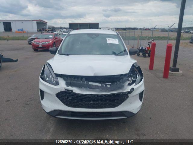 Продаж на аукціоні авто 2020 Ford Escape S, vin: 1FMCU9F60LUC37971, номер лоту: 12656270