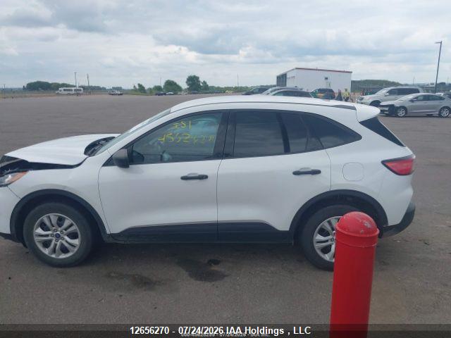 Продаж на аукціоні авто 2020 Ford Escape S, vin: 1FMCU9F60LUC37971, номер лоту: 12656270