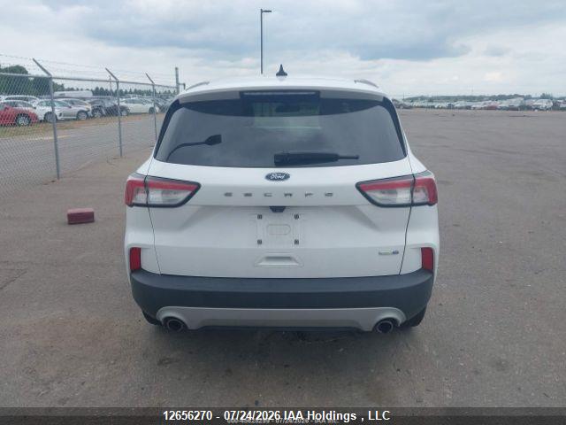 Продаж на аукціоні авто 2020 Ford Escape S, vin: 1FMCU9F60LUC37971, номер лоту: 12656270