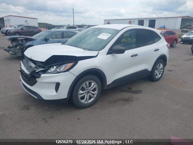 Продаж на аукціоні авто 2020 Ford Escape S, vin: 1FMCU9F60LUC37971, номер лоту: 12656270