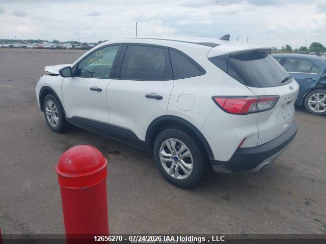 Продаж на аукціоні авто 2020 Ford Escape S, vin: 1FMCU9F60LUC37971, номер лоту: 12656270