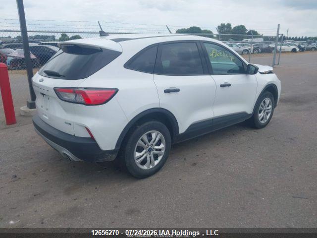 Продаж на аукціоні авто 2020 Ford Escape S, vin: 1FMCU9F60LUC37971, номер лоту: 12656270