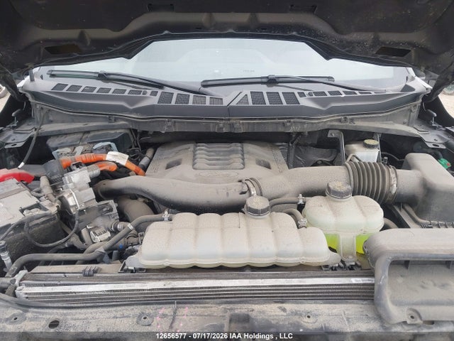 Auction sale of the 2022 Ford F-150 Xlt, vin: 1FTFW1ED5NFB27955, lot number: 12656577