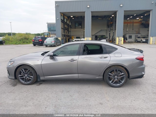 12656603 :رقم المزاد ، 19UUB6F53RA800091 vin ، 2024 Acura Tlx A-spec مزاد بيع