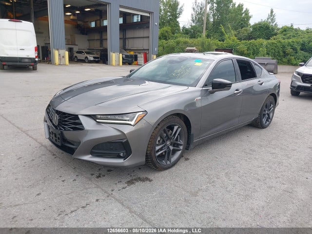 12656603 :رقم المزاد ، 19UUB6F53RA800091 vin ، 2024 Acura Tlx A-spec مزاد بيع