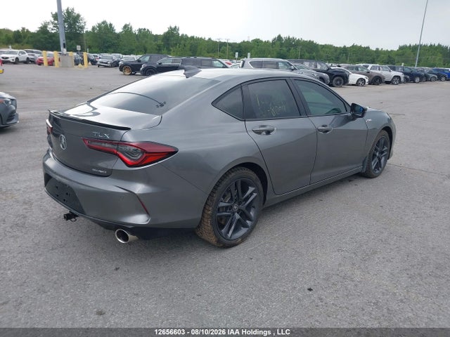 12656603 :رقم المزاد ، 19UUB6F53RA800091 vin ، 2024 Acura Tlx A-spec مزاد بيع