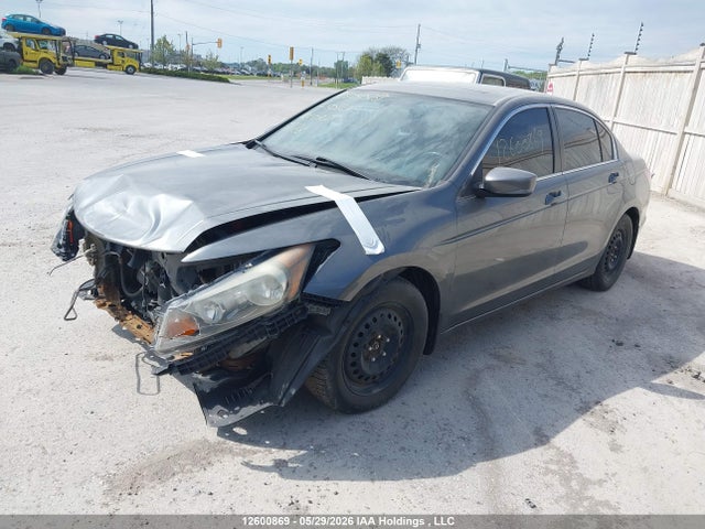 2011 Honda Accord Ex მანქანა იყიდება აუქციონზე, vin: 1HGCP2F76BA801281, აუქციონის ნომერი: 12600869