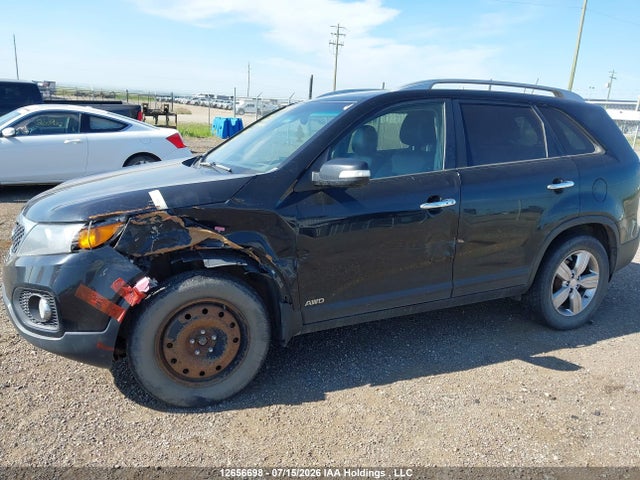 Продажа на аукционе авто 2013 Kia Sorento Ex Luxury V6/ex V6, vin: 5XYKUDA22DG402638, номер лота: 12656698