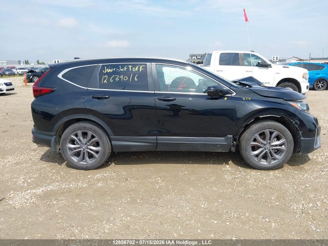 Продаж на аукціоні авто 2020 Honda Cr-v Sport, vin: 2HKRW2H46LH229038, номер лоту: 12656702