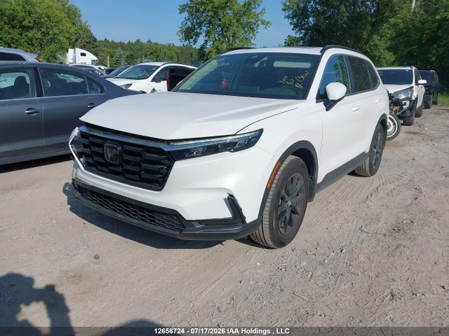 Honda CR-V 2026 2HKRS4H58TH110486 Image 2