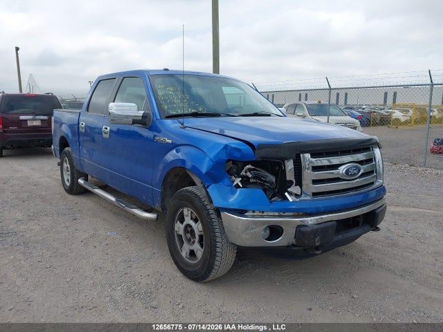 Продажа на аукционе авто 2011 Ford F150 Supercrew, vin: 1FTFW1EFXBFC41785, номер лота: 12656775