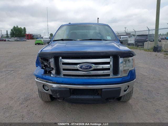 2011 Ford F150 Supercrew მანქანა იყიდება აუქციონზე, vin: 1FTFW1EFXBFC41785, აუქციონის ნომერი: 12656775