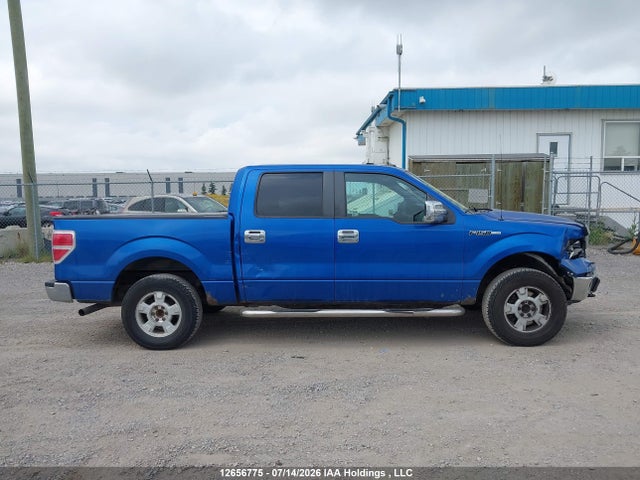 2011 Ford F150 Supercrew მანქანა იყიდება აუქციონზე, vin: 1FTFW1EFXBFC41785, აუქციონის ნომერი: 12656775