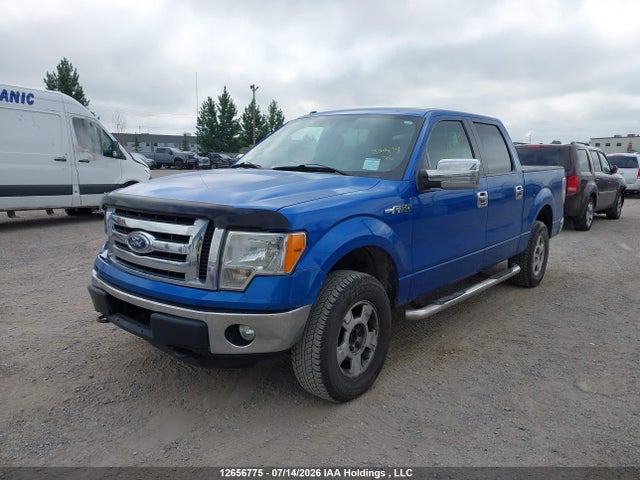 2011 Ford F150 Supercrew მანქანა იყიდება აუქციონზე, vin: 1FTFW1EFXBFC41785, აუქციონის ნომერი: 12656775