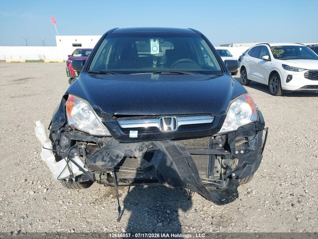 Продаж на аукціоні авто 2007 Honda Cr-v Ex, vin: 5J6RE48527L804139, номер лоту: 12656857