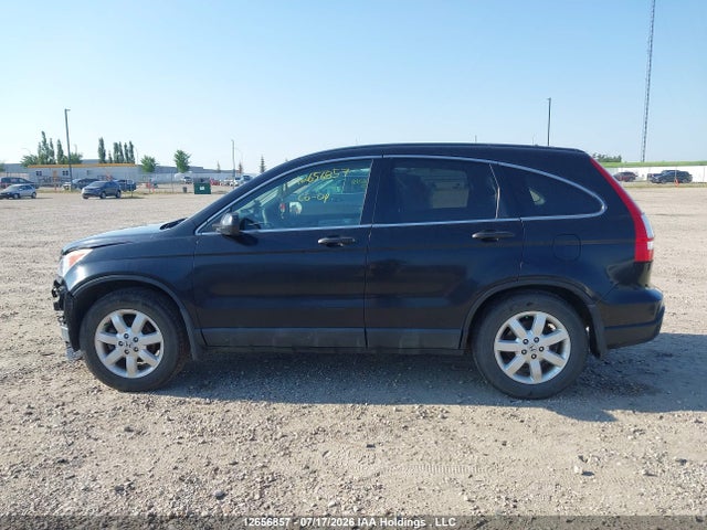 Продаж на аукціоні авто 2007 Honda Cr-v Ex, vin: 5J6RE48527L804139, номер лоту: 12656857