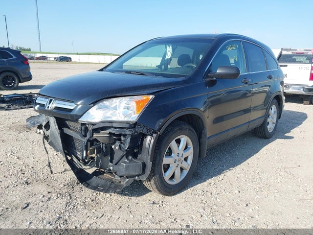 Продаж на аукціоні авто 2007 Honda Cr-v Ex, vin: 5J6RE48527L804139, номер лоту: 12656857