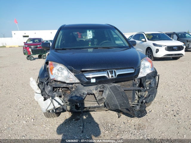 Продаж на аукціоні авто 2007 Honda Cr-v Ex, vin: 5J6RE48527L804139, номер лоту: 12656857