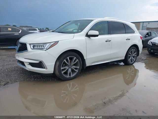 12656877 :رقم المزاد ، 5J8YD4H81KL804741 vin ، 2019 Acura Mdx Elite مزاد بيع