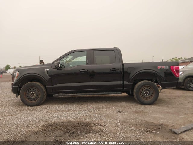 1FTEW1EPXPKF52085 Ford F-150 Lariat/xl/xlt