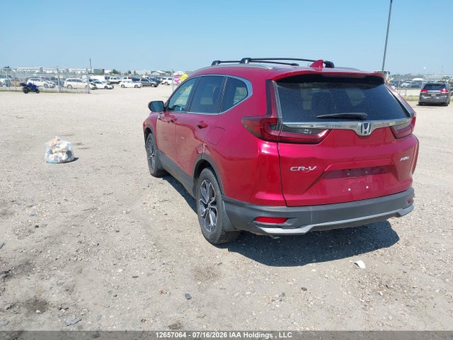 Honda Cr-v Ex-l 2021 2HKRW2H83MH232807 Image 3