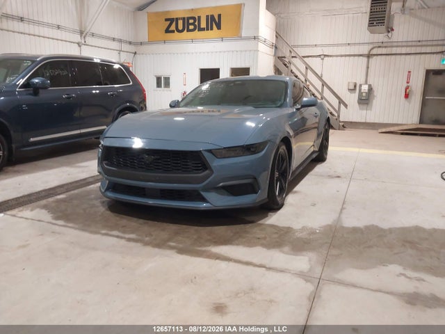 1FA6P8TH8T5115383 Ford Mustang