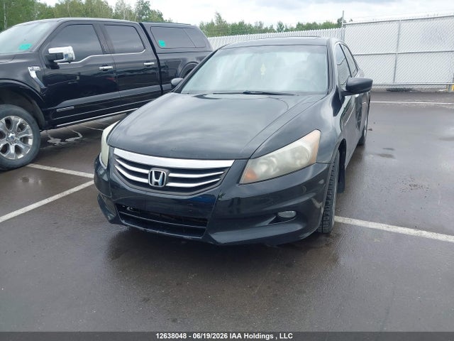 Продаж на аукціоні авто 2011 Honda Accord Exl, vin: 1HGCP3F81BA800358, номер лоту: 12638048
