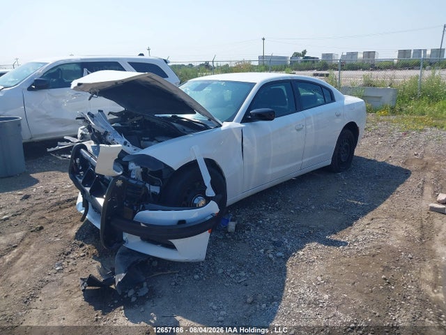 2023 Dodge Charger Police მანქანა იყიდება აუქციონზე, vin: 2C3CDXKG4PH519731, აუქციონის ნომერი: 12657186
