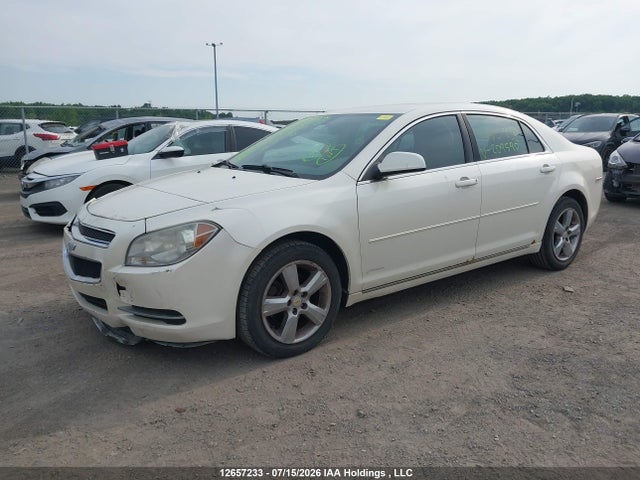 12657233 :رقم المزاد ، 1G1ZD5E04AF209590 vin ، 2010 Chevrolet Malibu Lt Platinum Edition مزاد بيع